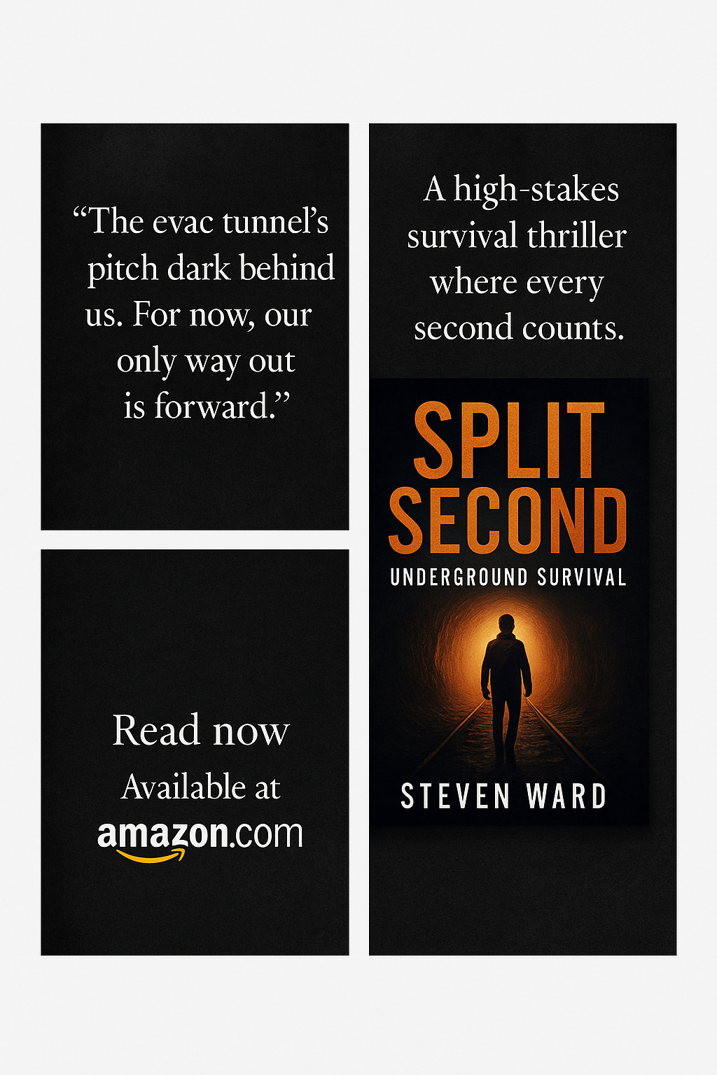 Click here for details on this book